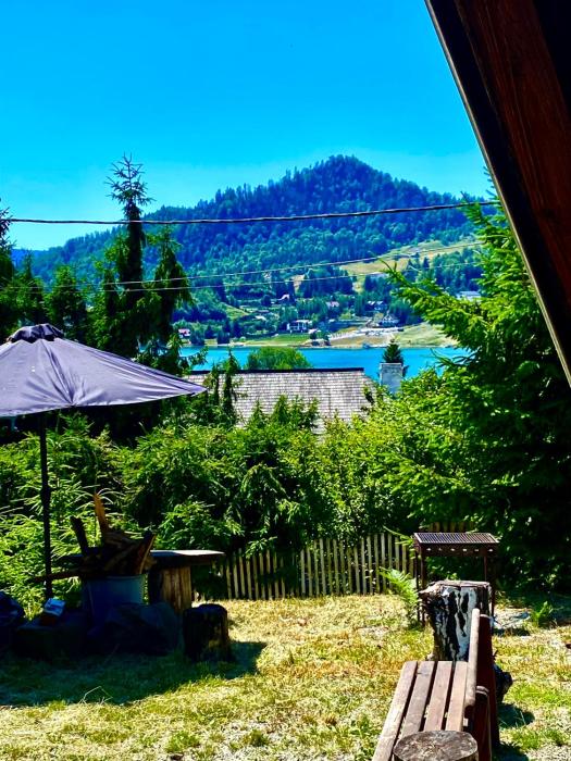 Casa dintre Brazi Colibita