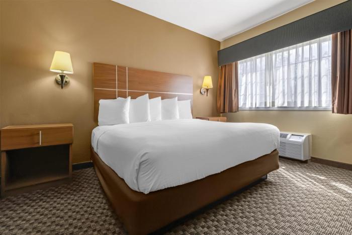 Best Western Plus Shamrock Inn & Suites