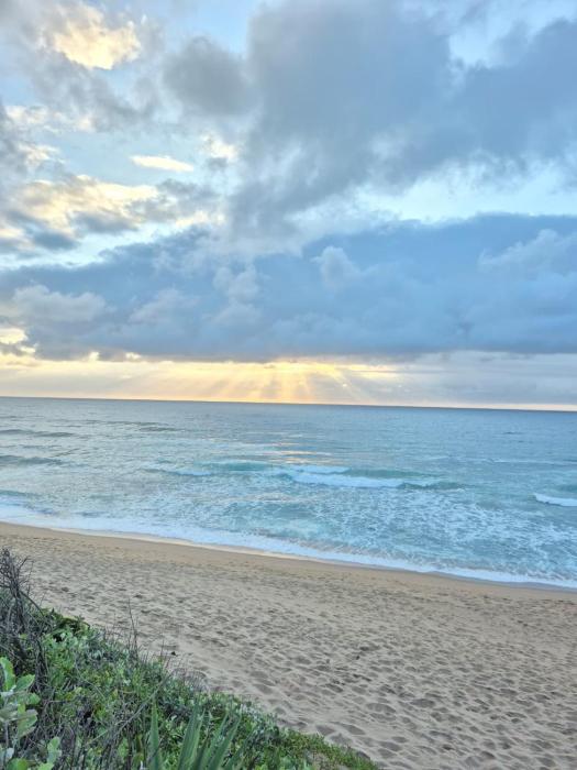 204 Lescalier Cabanas- Beach front paradise