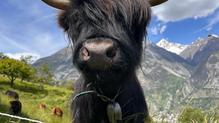 Gemütliche 2-Zimmer Wohnung mir Bergblick