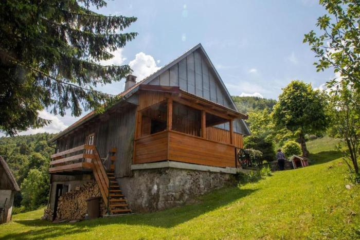 House Zeleni brig