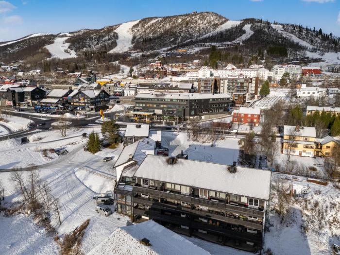 Geilo Town Centre - Apartment with a Superb Location and walking Distance to Everything