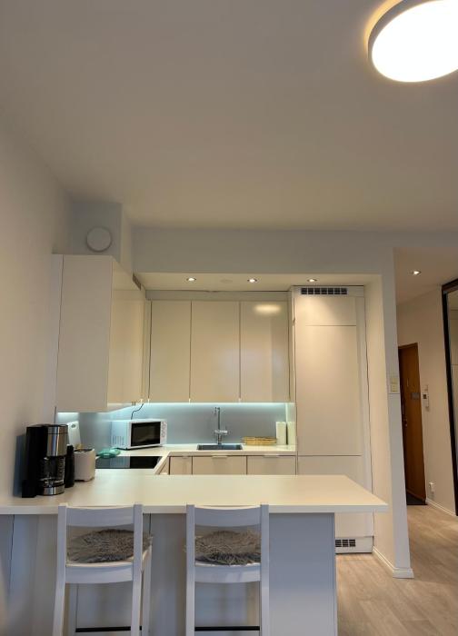 Condo Finlandia - in the heart of high culture