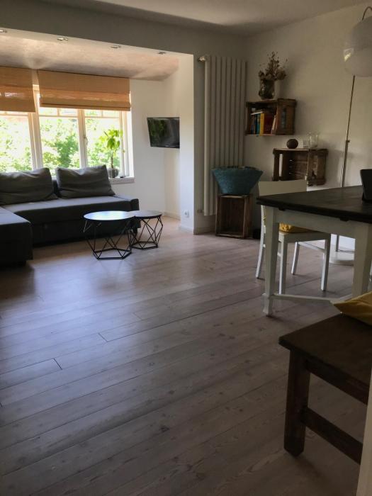 Gemütliche grosse 2 Zimmer Wohnung mit grosser Terasse in Seenähe, Höristrasse 8 in 78343 Gaienhofen