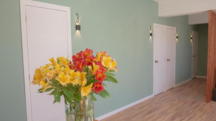 Capsulas privadas individuales con rooftop, vistas a la catedral y baño compartido