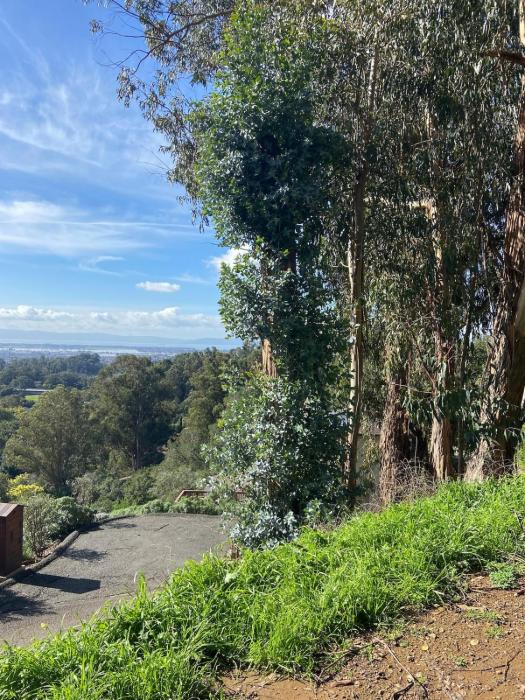 Private Oakland Hills Guest Apartment