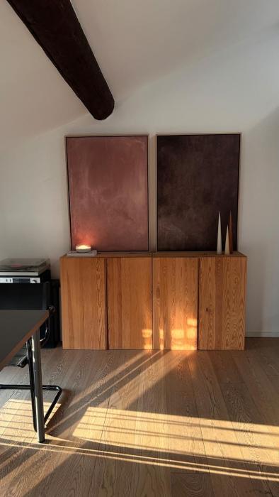 Charming Loft in Via Solferino - Milan