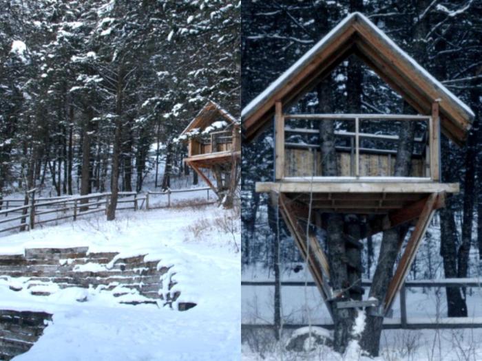 Secluded Cabin Rental Nestled in Woods of Snow King Mountain near Jackson Hole