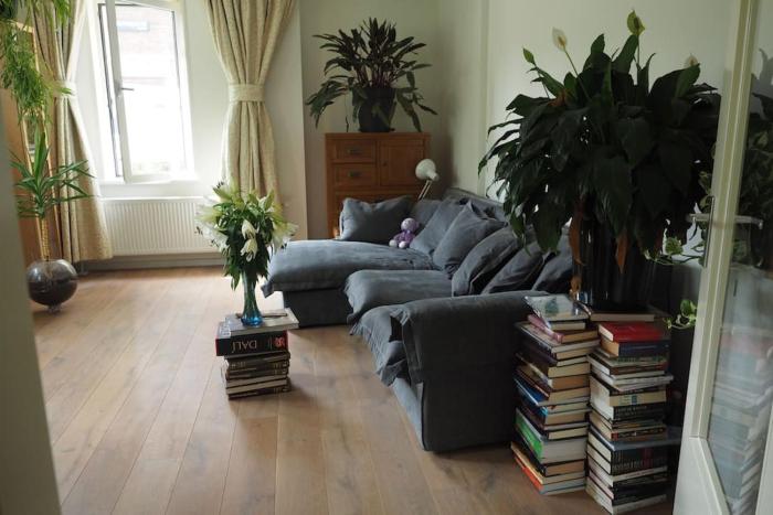 Apartment in the city centre