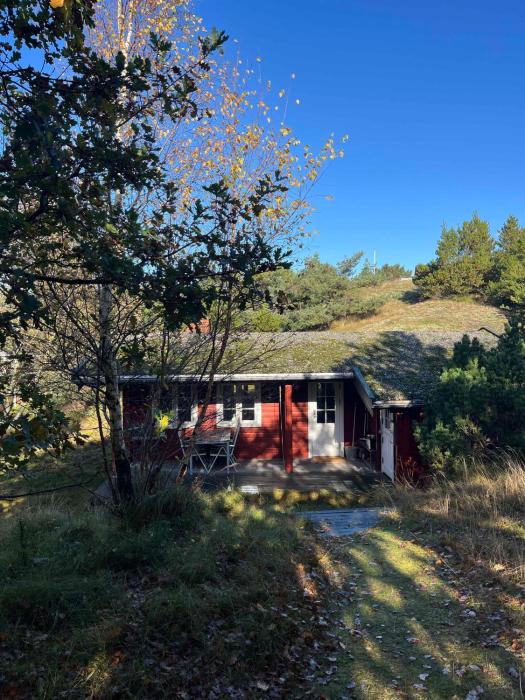 Log Cabin On Fanø Near Beach And Nature