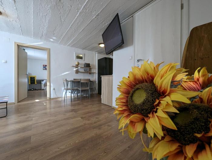 Twin Magnolias In Maksimir