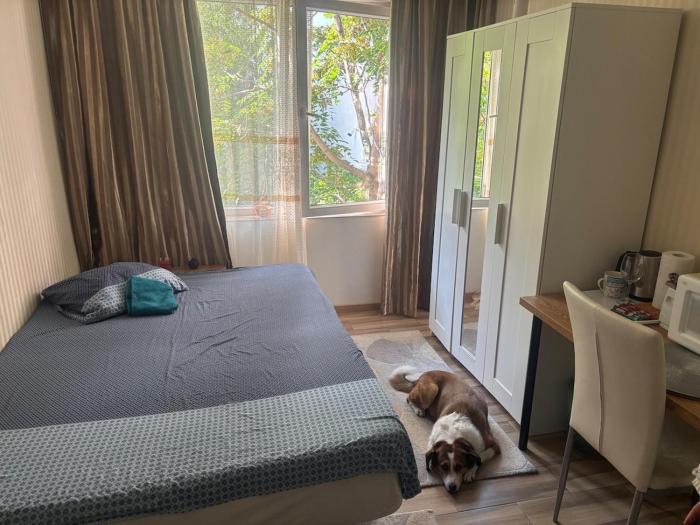 Studio with good vibes