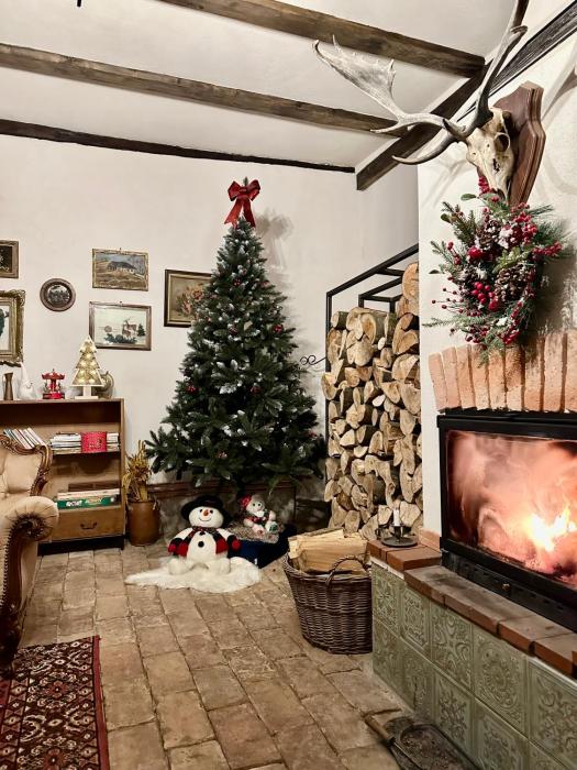 Entire House @Saschiz 130