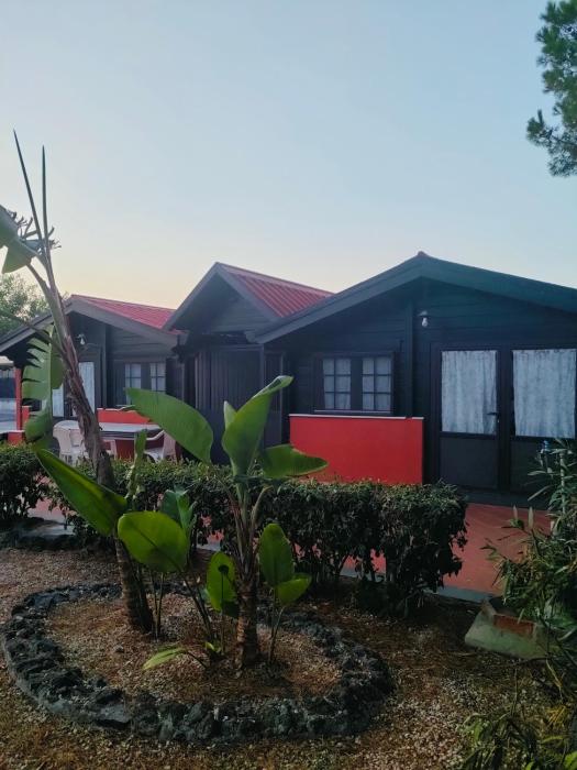 Casa Vacanze Vaccarizzo - Vaccarizzo Beach Garden