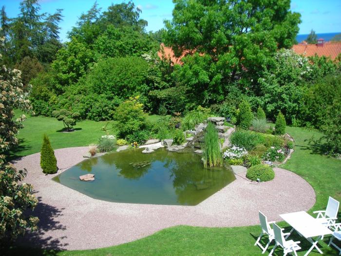 Solrosen i Simrishamn - Österlen