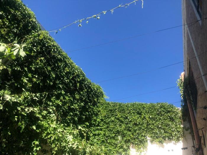 Sexta sección cercanía parques centro Relax