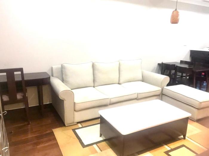 Hanoi Apartment Lion