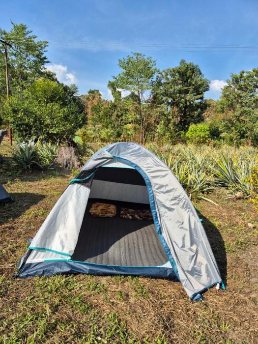 Safarnama Hornbill Camping near festival ground