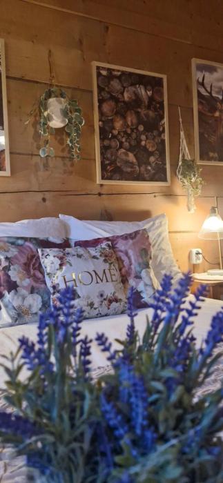 Sękowa Chata, Zakopane, Domek