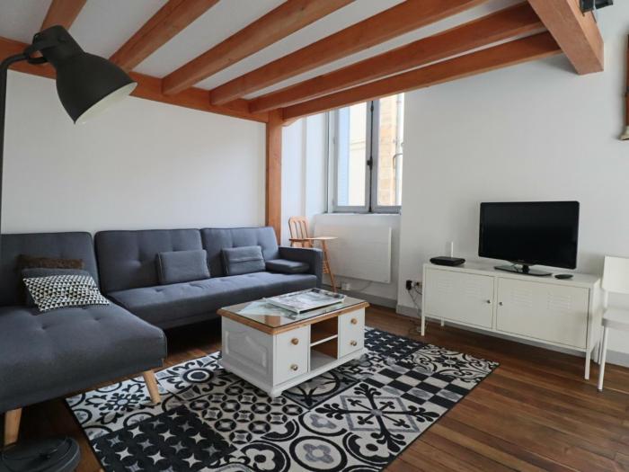 Appartement Loft en Centre-Ville, 4 Pers., Parking Privé - FR-1-858-17