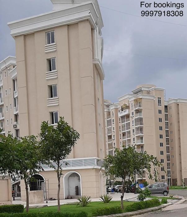 Peaceful Gopala near Premanand Maharaj Ji