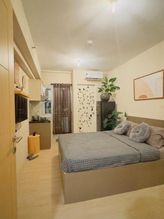 The Cocoon - stanford Educity pakuwon city