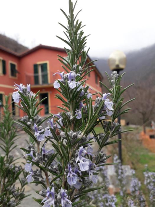 Villa Bella bed and breakfast