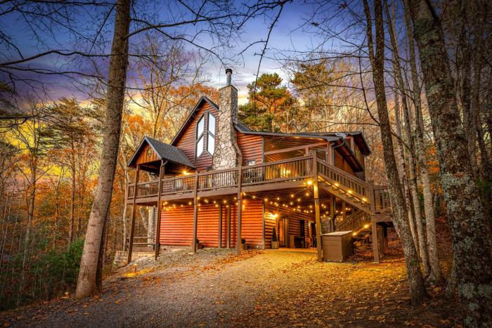 Merlot Chateau - Views, New Hot Tub, Fire Pit, Game Room, Wi-Fi - Mins to Blue Ridge