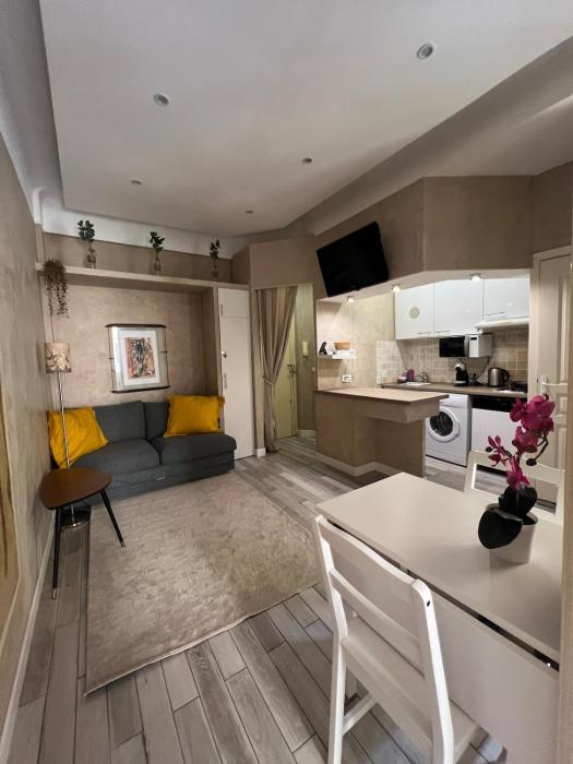 Perfectly located 1 bed apartment - Port of Nice