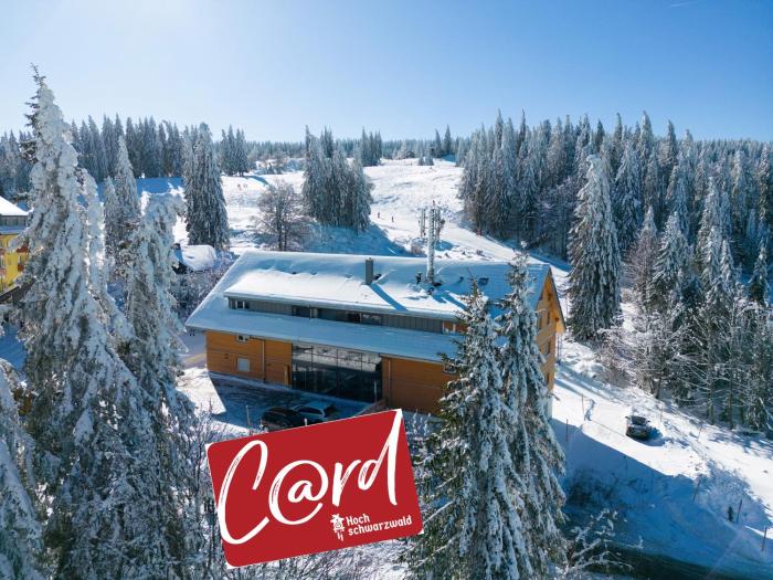 Wiesenquell Apartment Feldberg