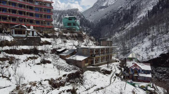 Yellowjackets Hostel Tosh