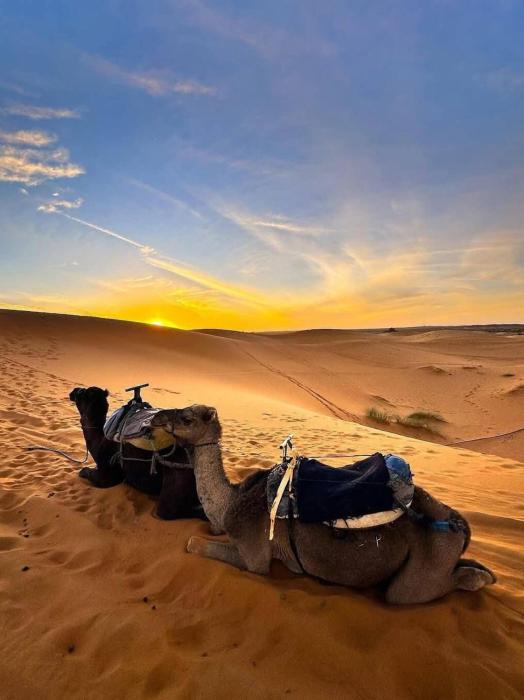 Erg Luxury Camp Merzouga