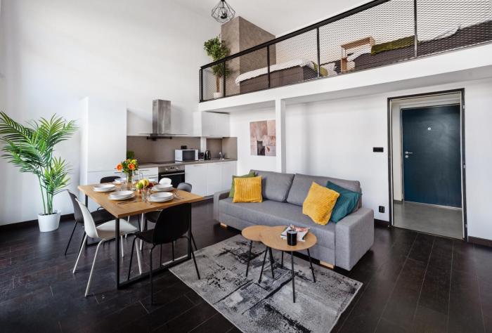 Spacious loft-aparts on Karlin