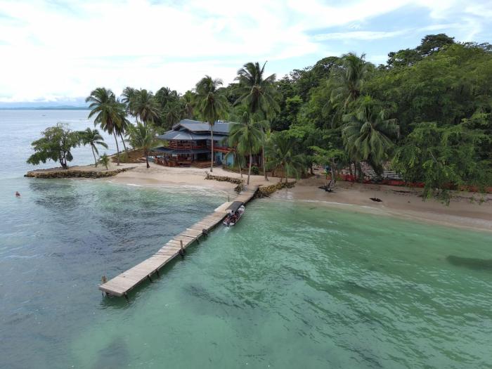 Bocas Beachfront Lodge Spacious Corner King Suite Ocean View Sand Level