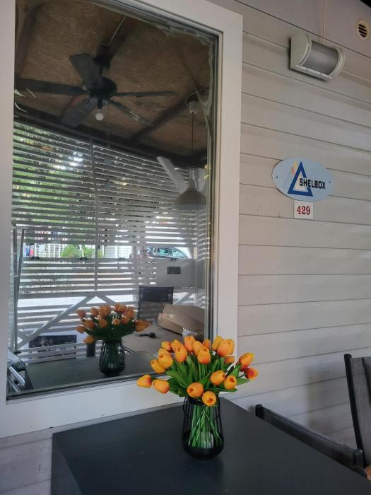 #429 Status Relax Dezela