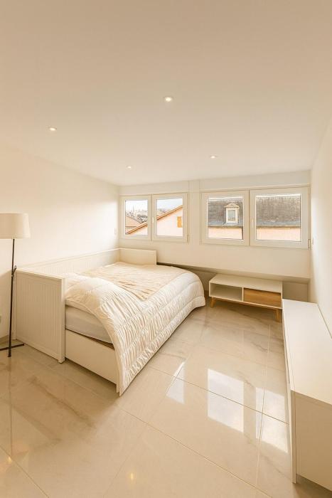 DeLuxe Studio Premium, Renovated, MULHOUSE CENTRE