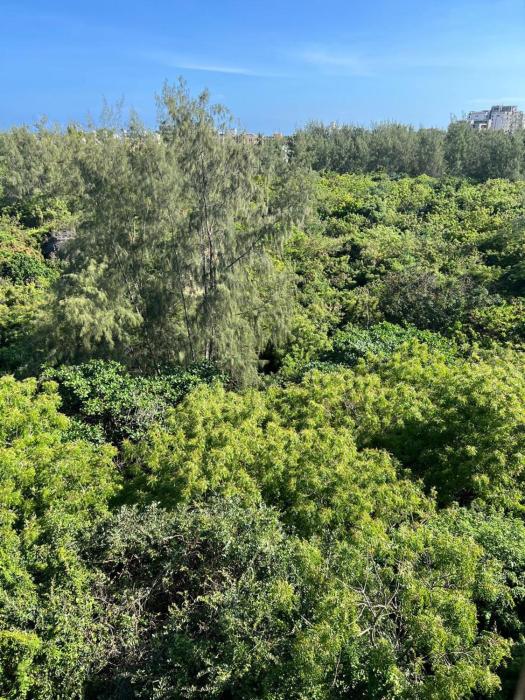 Baraka Estate, Nyali, Mombasa