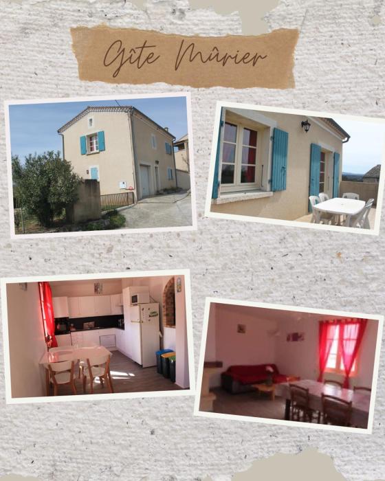 Mûrier
