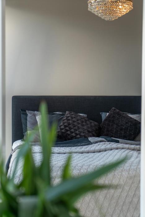 Top Floor with Rooftop, 1BR Apartment in Great Location