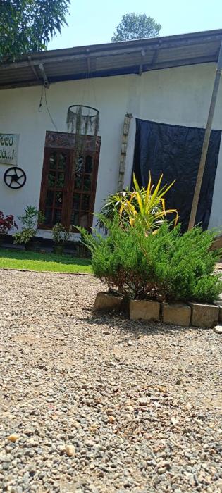 Dreams Villa