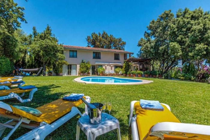 Can Llamas by Vintage Travel