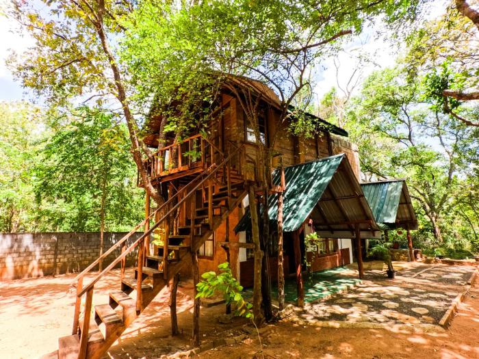 Tree Nest Sigiriya