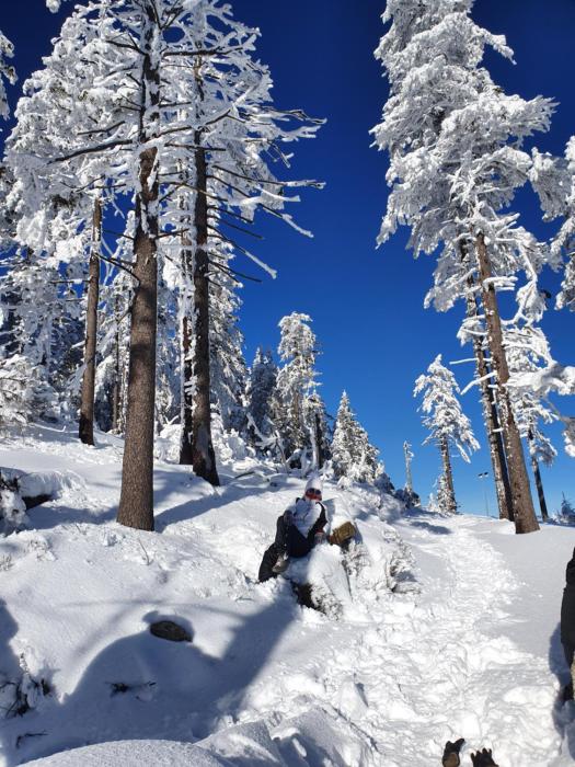 Czarna Góra Apartament 319