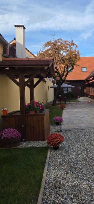 Casa Sura Sasilor