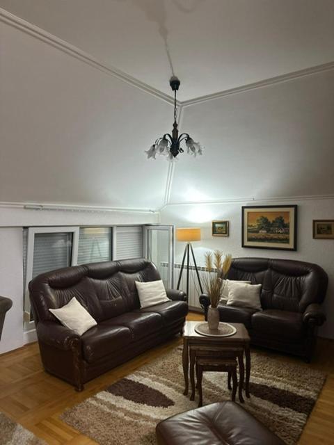 Stan na dan Mitrić Loznica