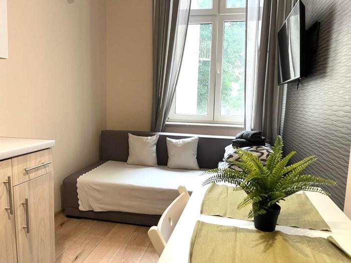 Krakow Center Apartment