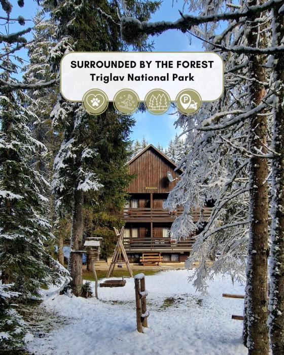 Forest Apartments POKLJUKA