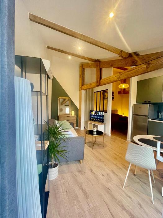 Logement neuf tout équipé avec terrasse, proche du bourg et des plages océanes, climatisé, WIFI, parking, linge et ménage compris, proche des commerces ouverts toute lannée