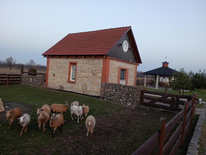 Agroturystyka Skrzypczyk