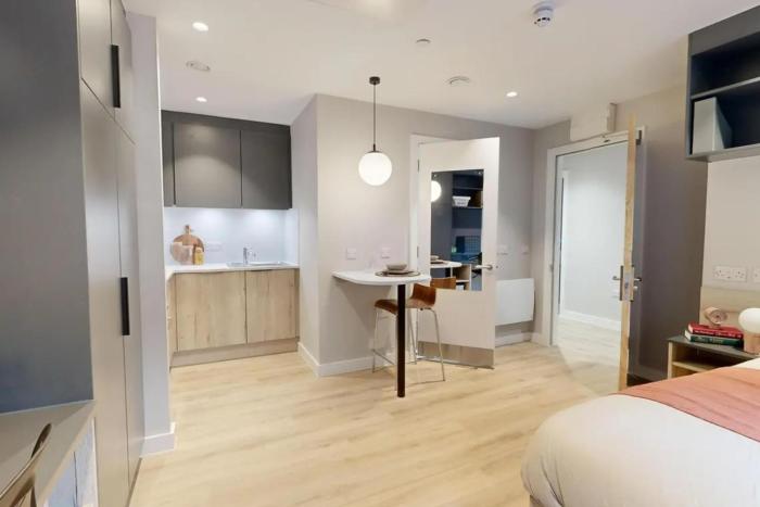 Bright & Spacious Mid-Level Studio Plus at Briggate Studios